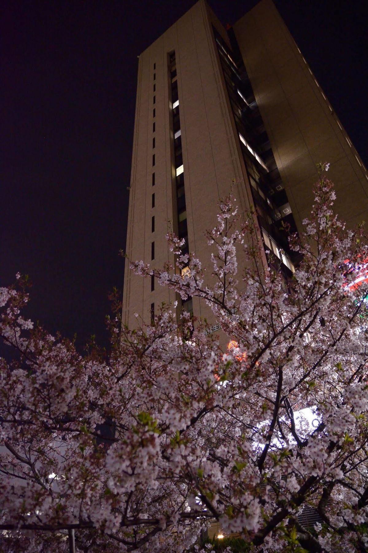 Tokyo Central Youth Hostel Exterior foto